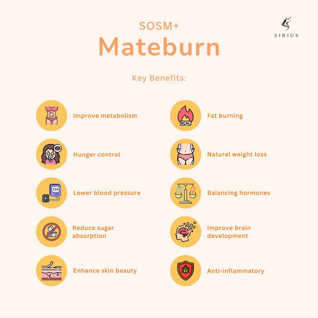 SOM1 Singapore SOSM+ Mateburn Benefits